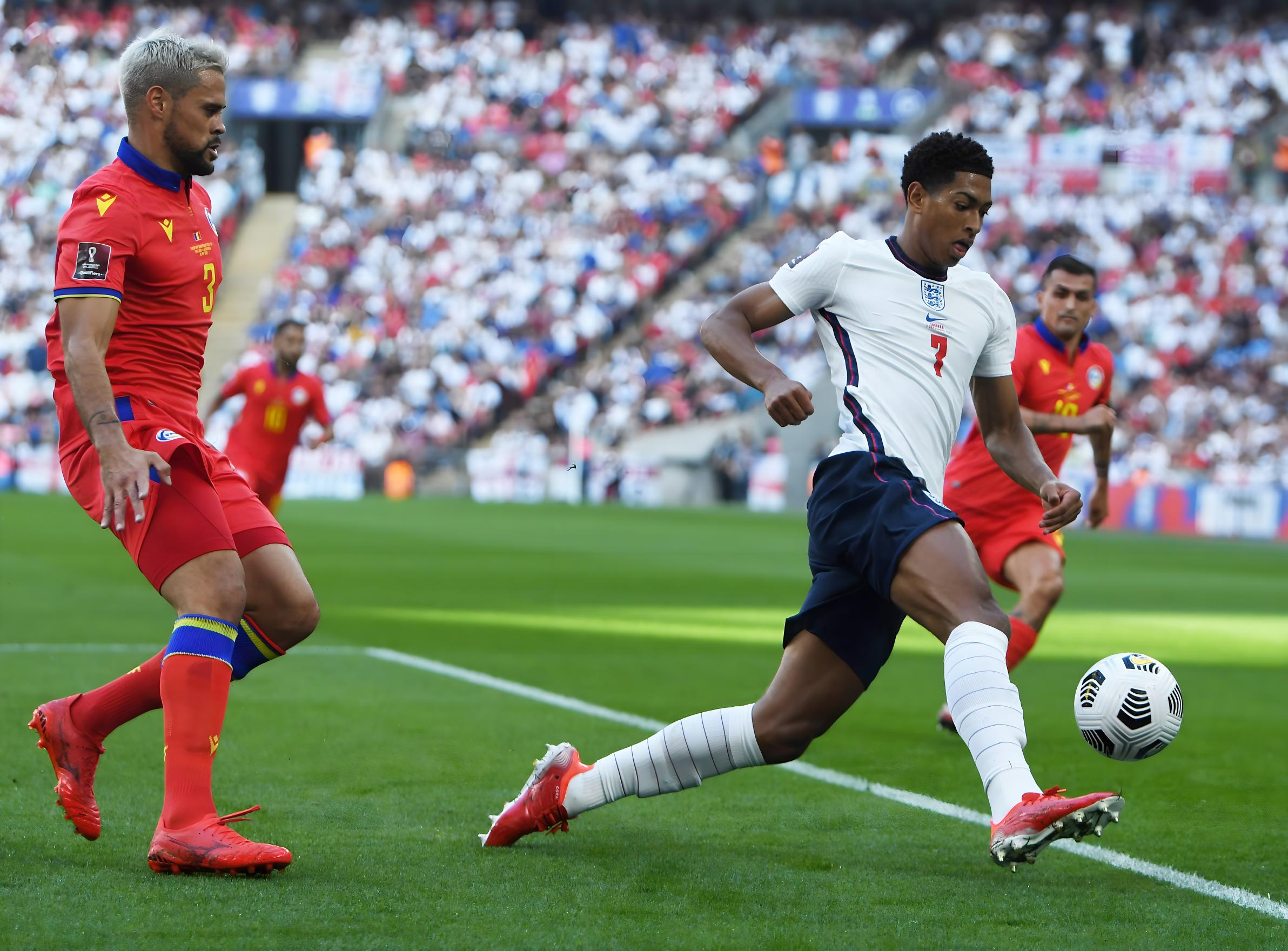 疑是本轮的 疑是本轮的