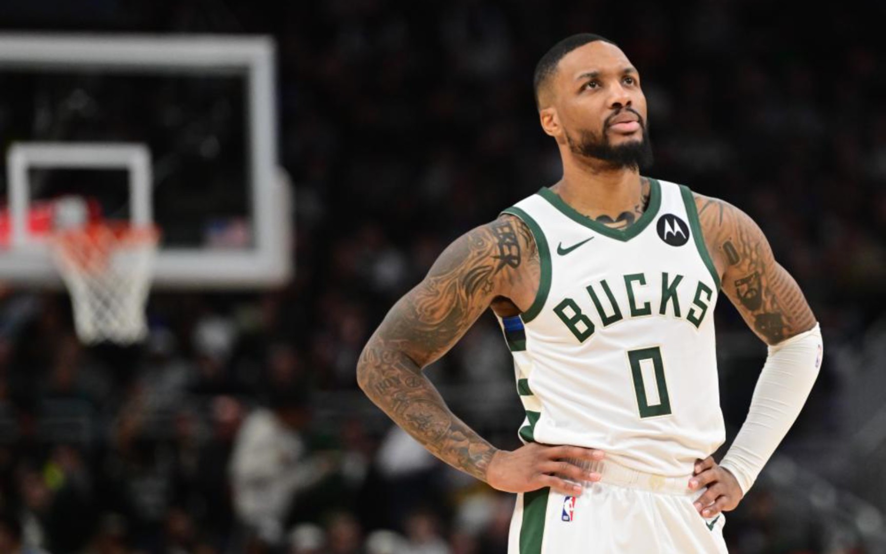 能及时补强 能及时补强